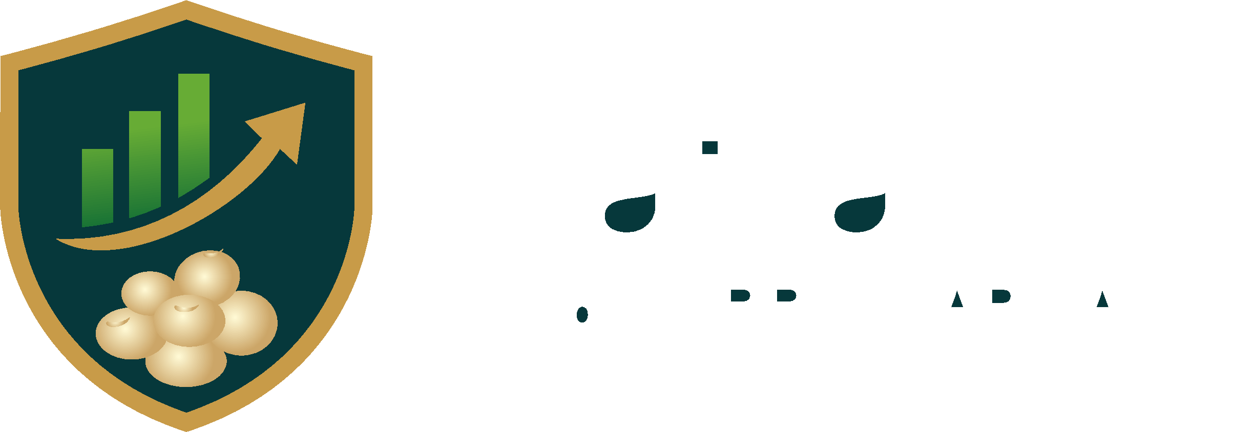 SafraFlux